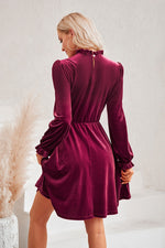 Lucille Mini Dress in Wine