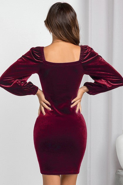 Charlotte Mini Dress in Wine