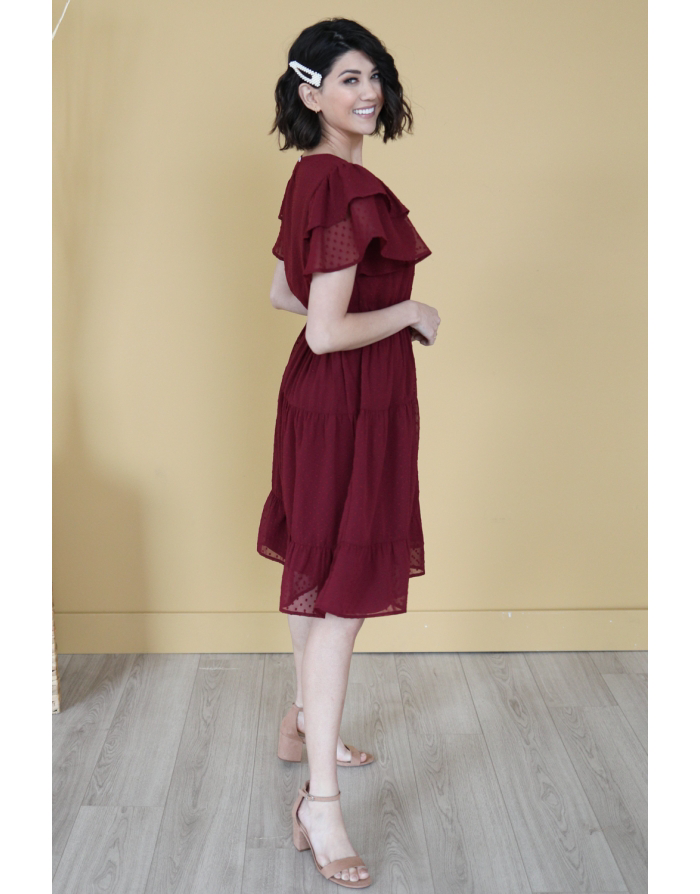 Amy Swiss Dot Burgundy dress